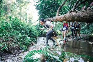 BIB: 
                            <button type="button" onclick="openModal(25446930)" class="btn btn-primary btn-sm float-right btn-popup" data-toggle="modal" data-target=".modal-high-quality">
                        <i class="fas fa-shopping-cart"></i> Add to Cart
                    </button>
                                            <button type="button" onclick="isThisMe(25446930, true)" class="btn btn-success btn-sm float-right btn-popup btn-isme hidden" data-toggle="tooltip" data-placement="bottom" title="นี่คือรูปของคุณใช่ไหม คลิกที่นี่เพื่อเอาเข้าอัลบั้ม">
                        <i class="fas fa-plus"></i> Add to album
                    </button>
                    <button type="button" onclick="isThisMe(25446930, false)" class="btn btn-warning btn-sm float-right btn-popup btn-isnotme hidden">
                        <i class="fas fa-ban"></i> Remove from album
                    </button>